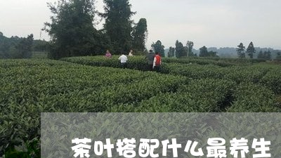 茶叶搭配什么最养生/2023042502827