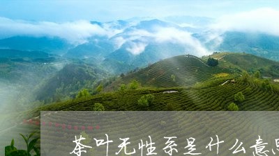 茶叶无性系是什么意思/2023061169394