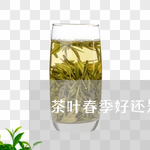 茶叶春季好还是秋季好/2023061188590