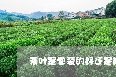 茶叶是包装的好还是散装的好/2023052639471