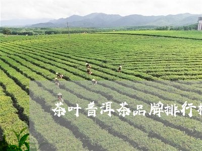 茶叶普洱茶品牌排行榜前十/2023112425041