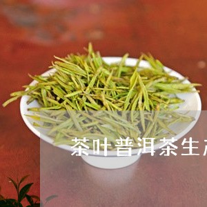 茶叶普洱茶生产过程图片/2023121825845