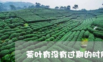 茶叶有没有过期的时候/2023092221715