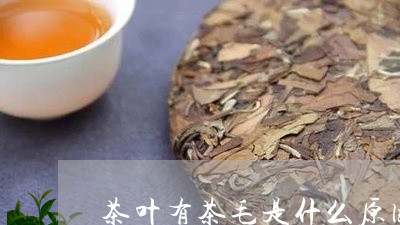 茶叶有茶毛是什么原因/2023061148493