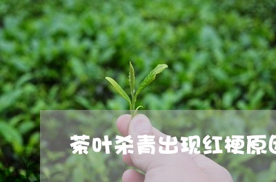 茶叶杀青出现红梗原因/2023071698370