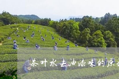 茶叶水去油漆味的原理/2023092282925