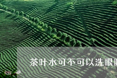 茶叶水可不可以洗眼睛/2023061109571