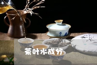 茶叶水成分/2023041789814