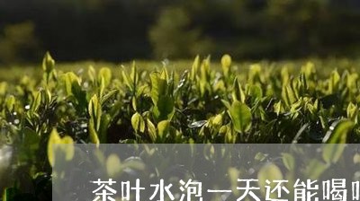 茶叶水泡一天还能喝吗/2023092221928