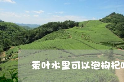 茶叶水里可以泡枸杞吗/2023061144060