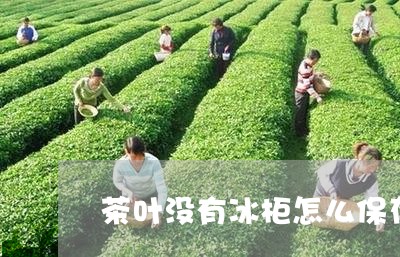 茶叶没有冰柜怎么保存/2023061141695