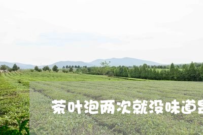 茶叶泡两次就没味道是好茶吗/2023052605959