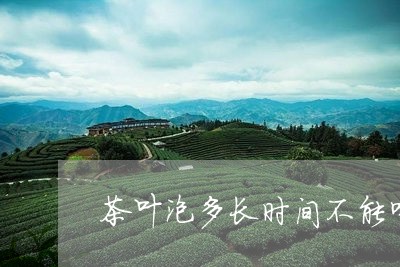 茶叶泡多长时间不能喝/2023061116281