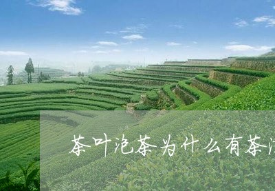 茶叶泡茶为什么有茶沫/2023092343816