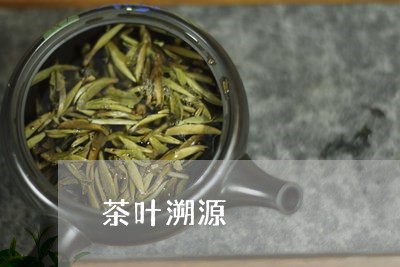 茶叶溯源/2023121940503
