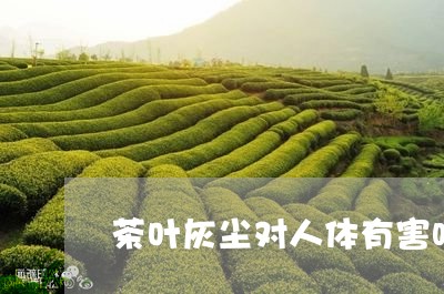 茶叶灰尘对人体有害吗/2023061119302