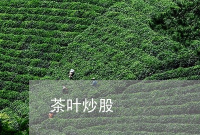 茶叶炒股/2023090106269