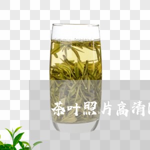 茶叶照片高清图片大全青城山道茶/2023060127361