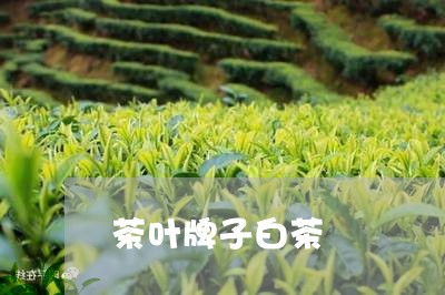 茶叶牌子白茶/2023052485938