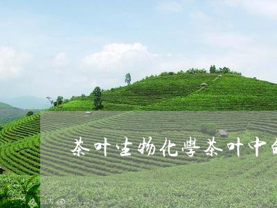 茶叶生物化学茶叶中的化学成分/2023053150472