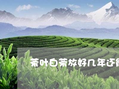 茶叶白茶放好几年还能喝吗/2023042866037