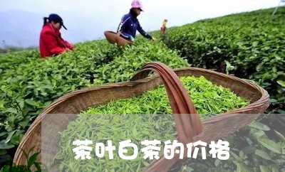 茶叶白茶的价格/2023060926949