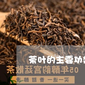 茶叶的主要功效有哪些/2023092156168