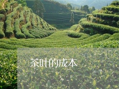 茶叶的成本/2023090200504