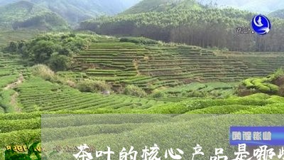 茶叶的核心产品是哪些/2023071679692