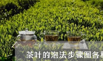 茶叶的泡法步骤图各种茶的水温控制/2023060431402