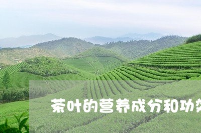 茶叶的营养成分和功效/2023092193937