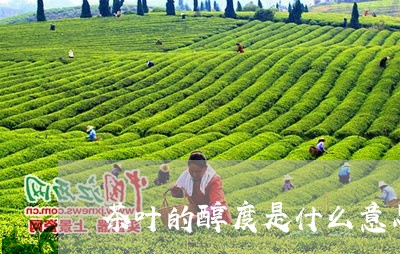 茶叶的醇度是什么意思/2023092352826