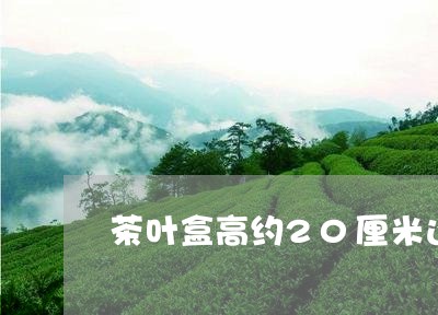 茶叶盒高约20厘米还是毫米/2023052658603