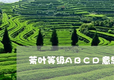 茶叶等级ABCD意思/2023061177262