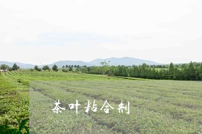 茶叶粘合剂/2023041800166