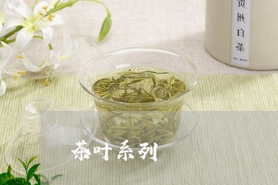 茶叶系列/2023121932706