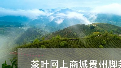 茶叶网上商城贵州脚尧/2023092392905