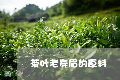 茶叶老寿眉的原料/2023090817171