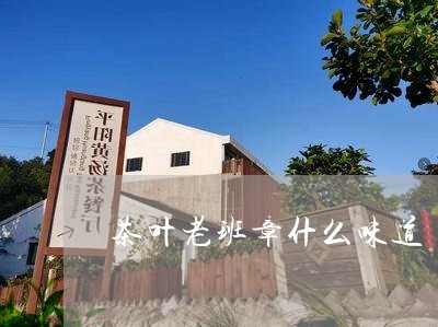 茶叶老班章什么味道/2023042814624