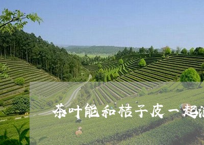 茶叶能和桔子皮一起泡水喝吗/2023052611503