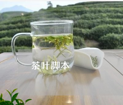 茶叶脚本/2023090160795