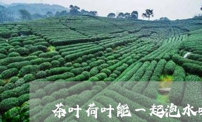 茶叶荷叶能一起泡水吗/2023061168575