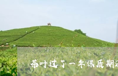 茶叶过了一年保质期还能喝吗/2023052638380