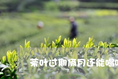 茶叶过期俩月还能喝吗/2023092271715