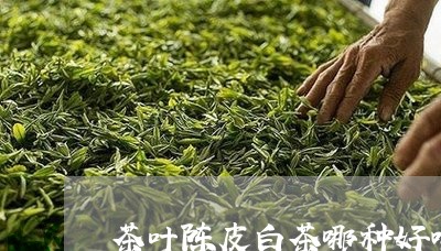 茶叶陈皮白茶哪种好喝些/2023111689460