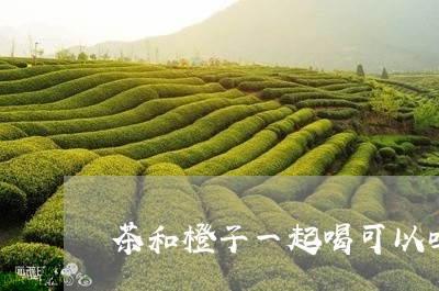 茶和橙子一起喝可以吗/2023060898191