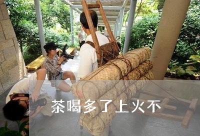 茶喝多了上火不/2023042905970