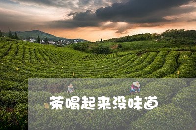 茶喝起来没味道/2023042915616