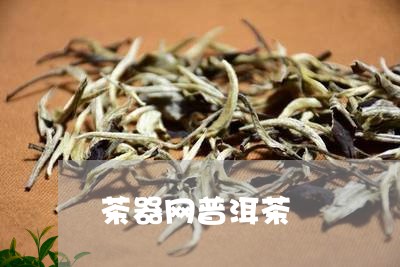 茶器网普洱茶/2023042709397