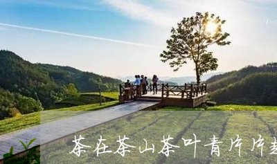 茶在茶山茶叶青片片起农信情/2023052697058